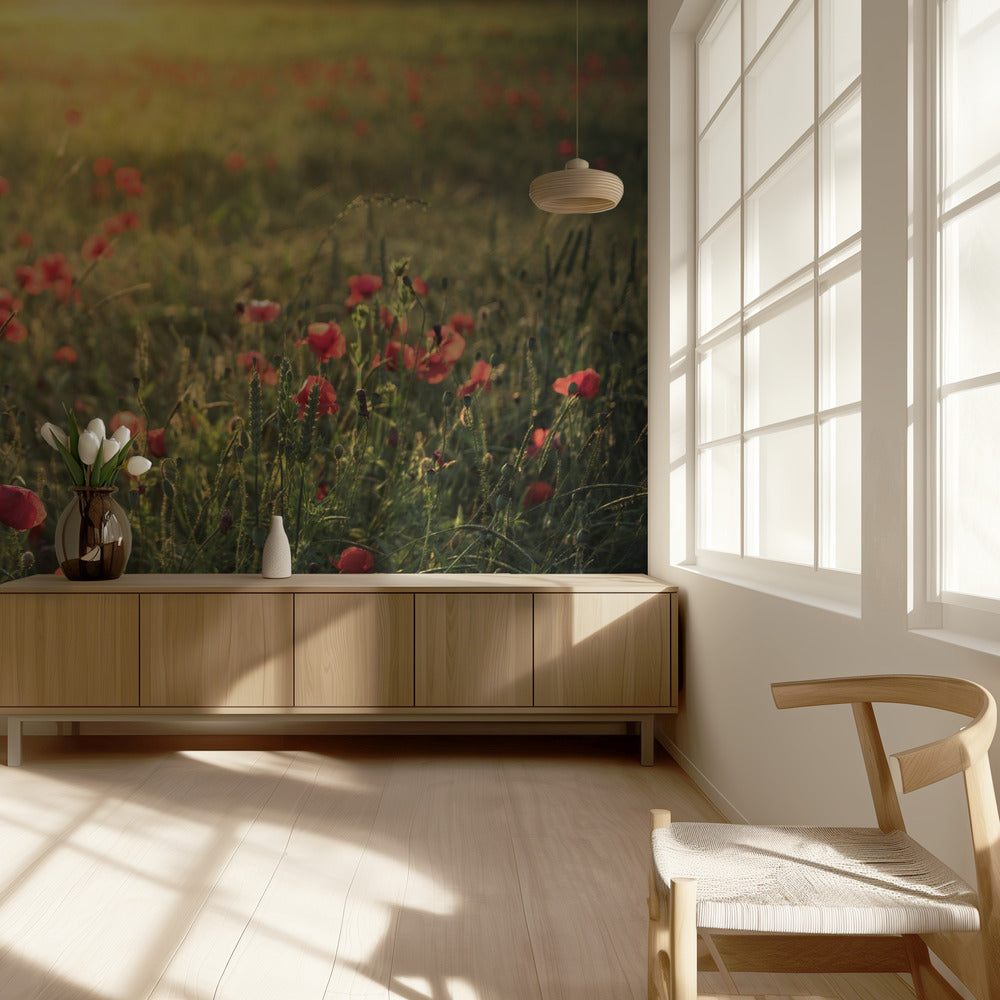 Poppy World III | Wallpaper