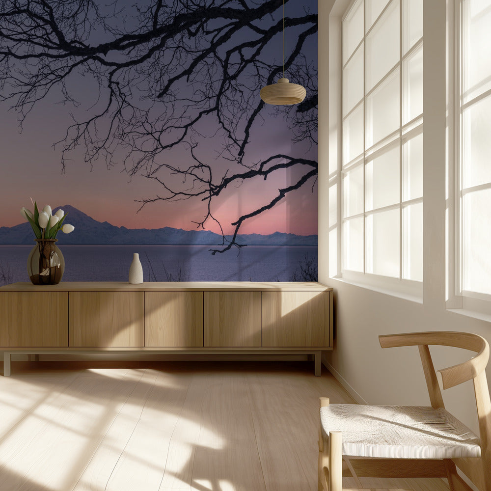 Alaskan Volcanoe | Wallpaper