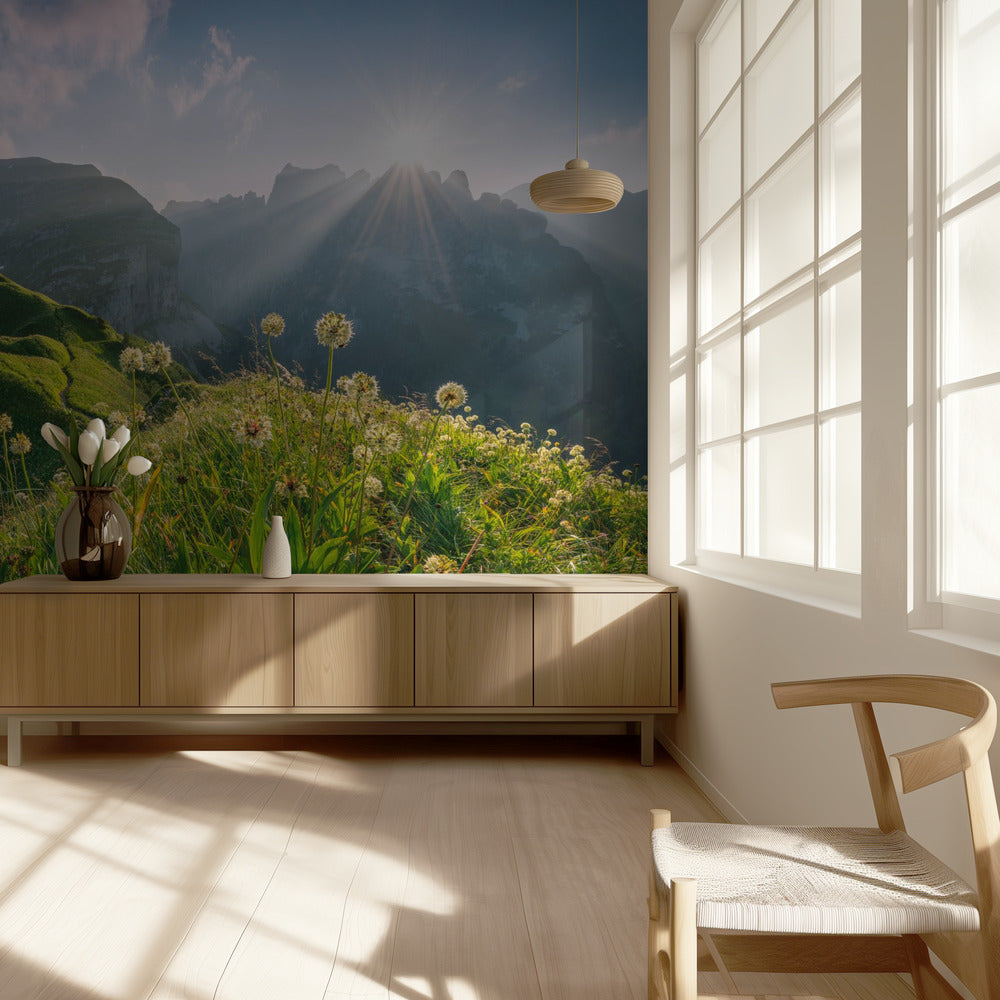 High Summer | Wallpaper