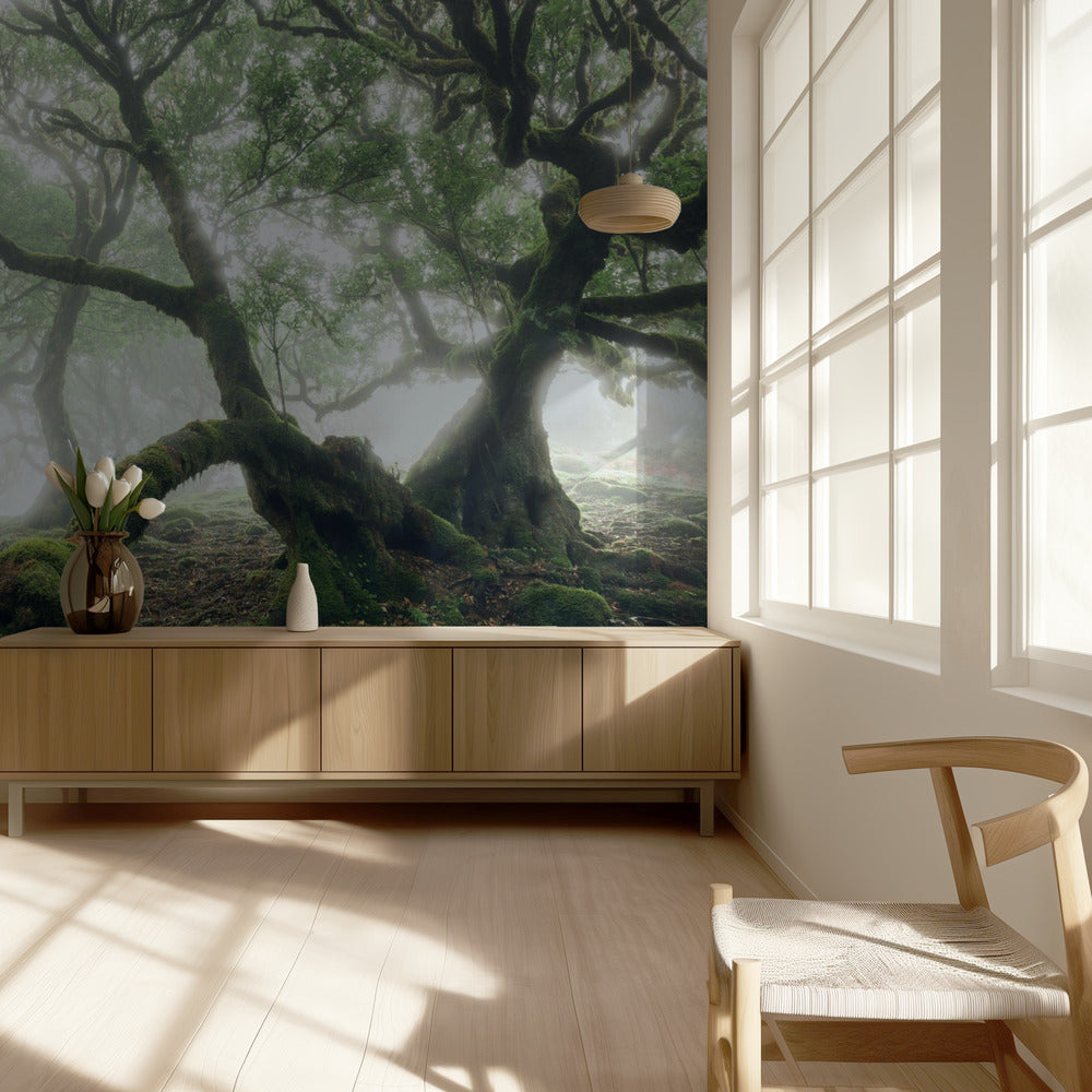 Mystic Laurel Forest | Wallpaper