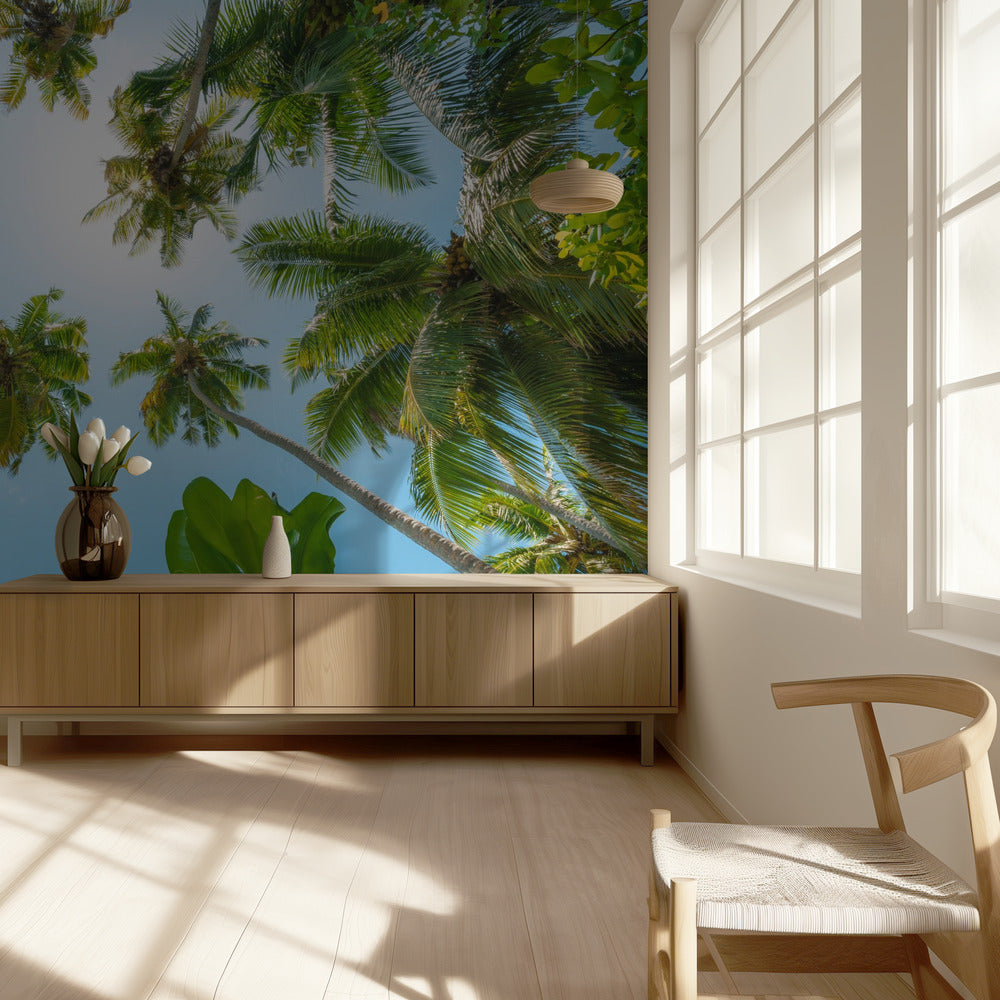 Tropical Up | Wallpaper