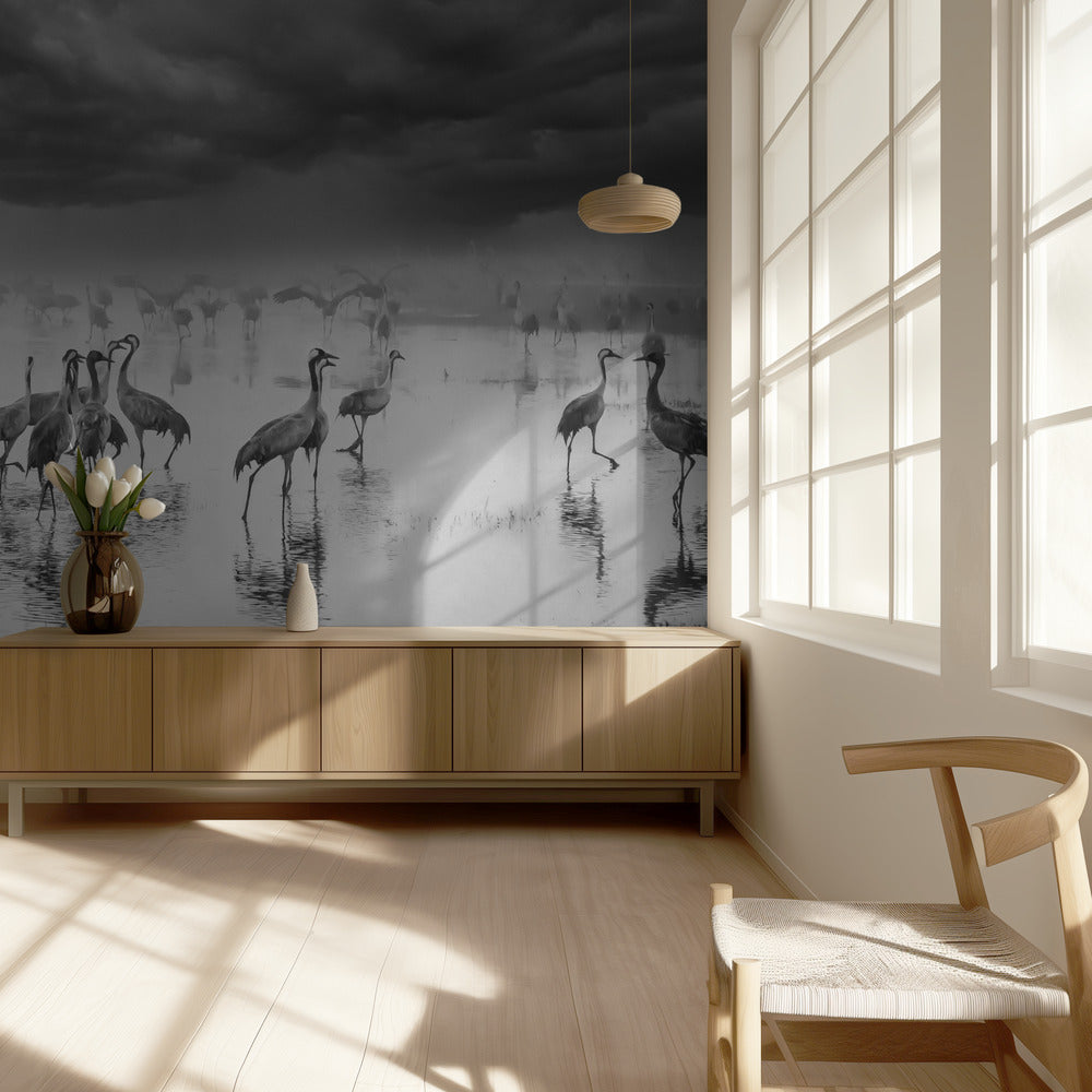 Sunrise on the lake | Wallpaper