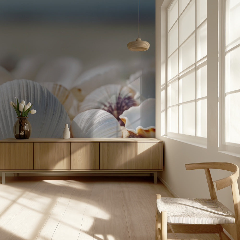 Seaside Shells | Wallpaper