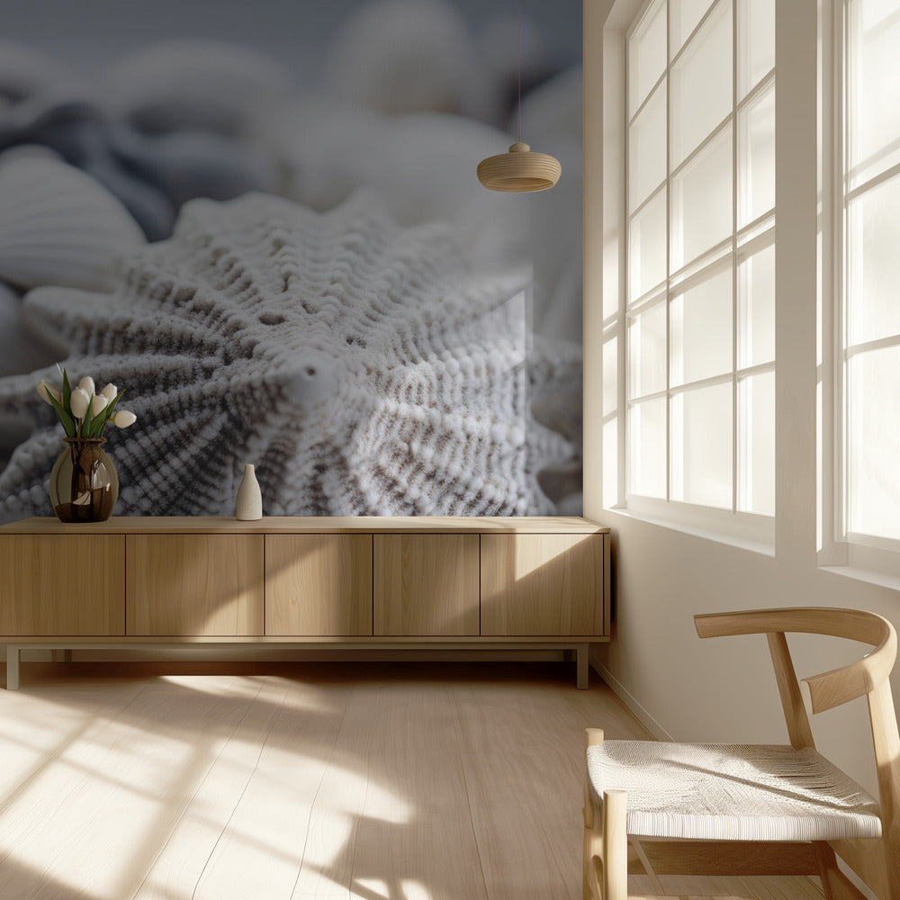 Seashell Serenity | Wallpaper