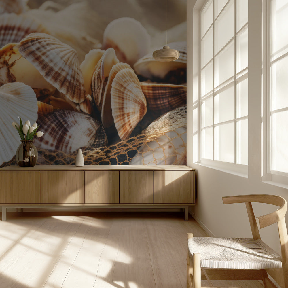 Seashell Symphony | Wallpaper