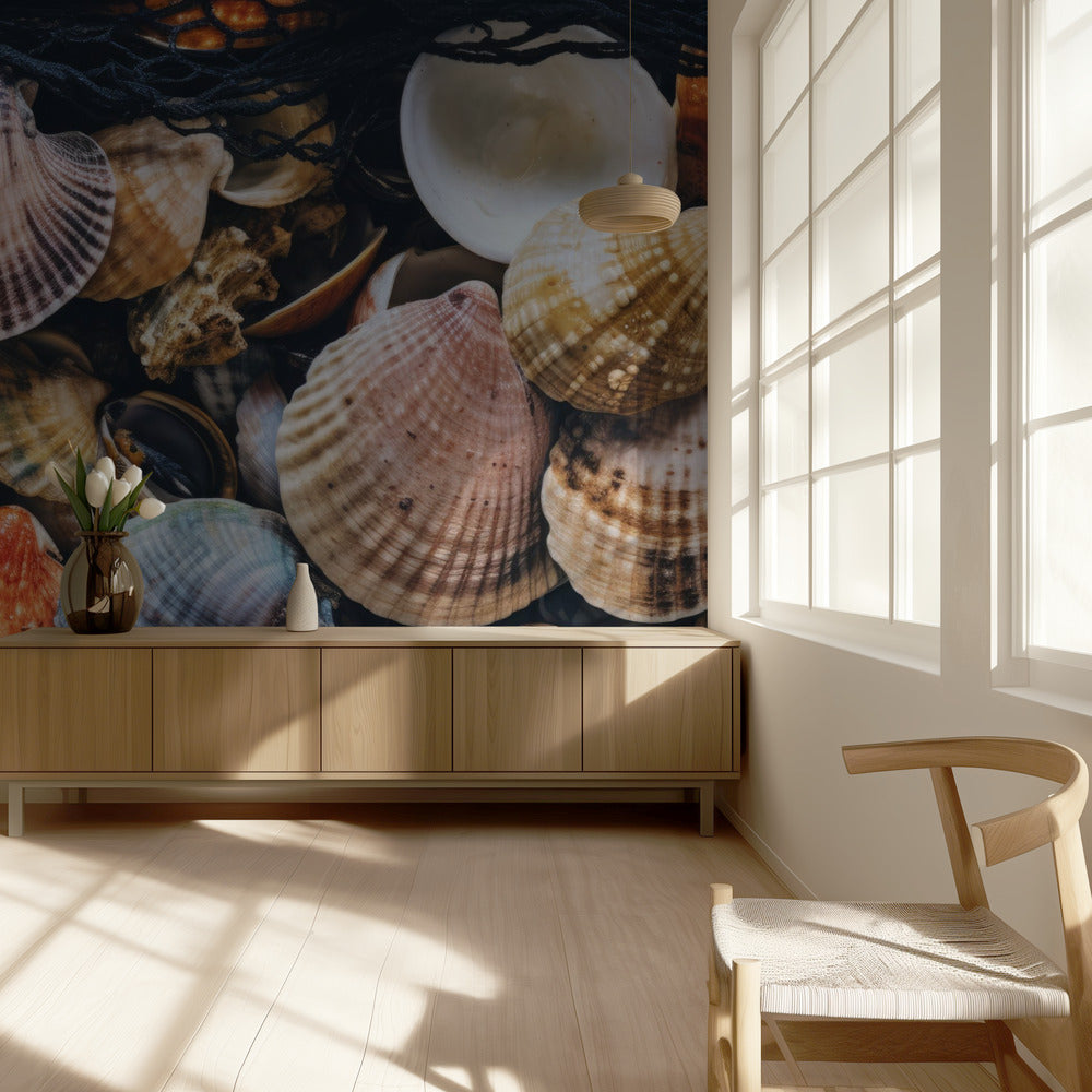 Shell Symphony | Wallpaper