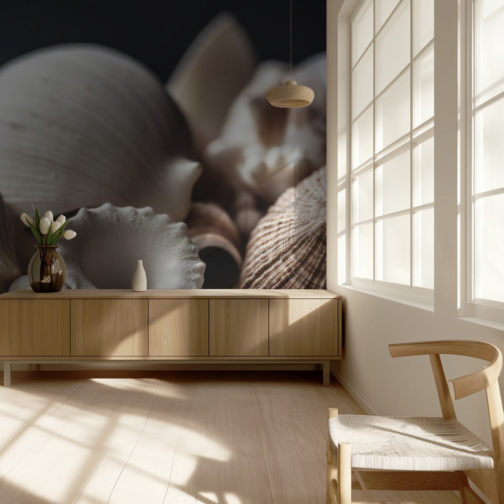 Seaside Treasures | Wallpaper