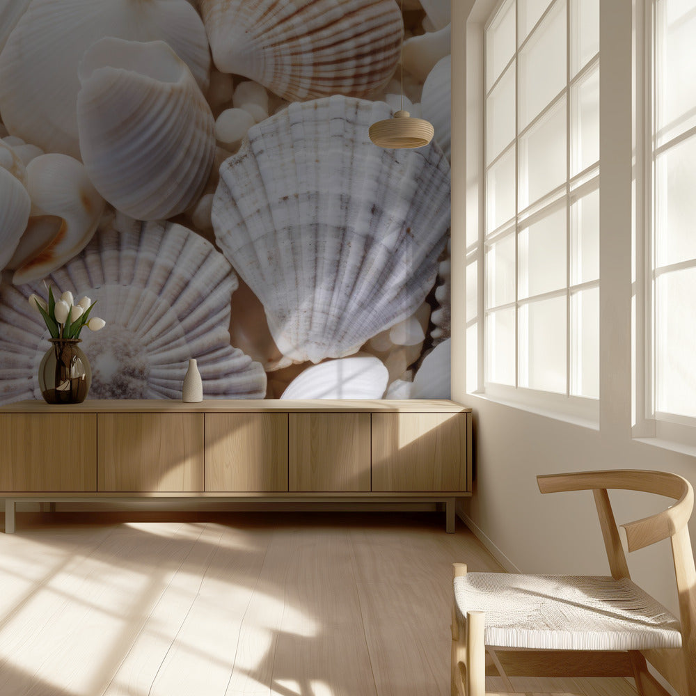 Seashell Symphony | Wallpaper
