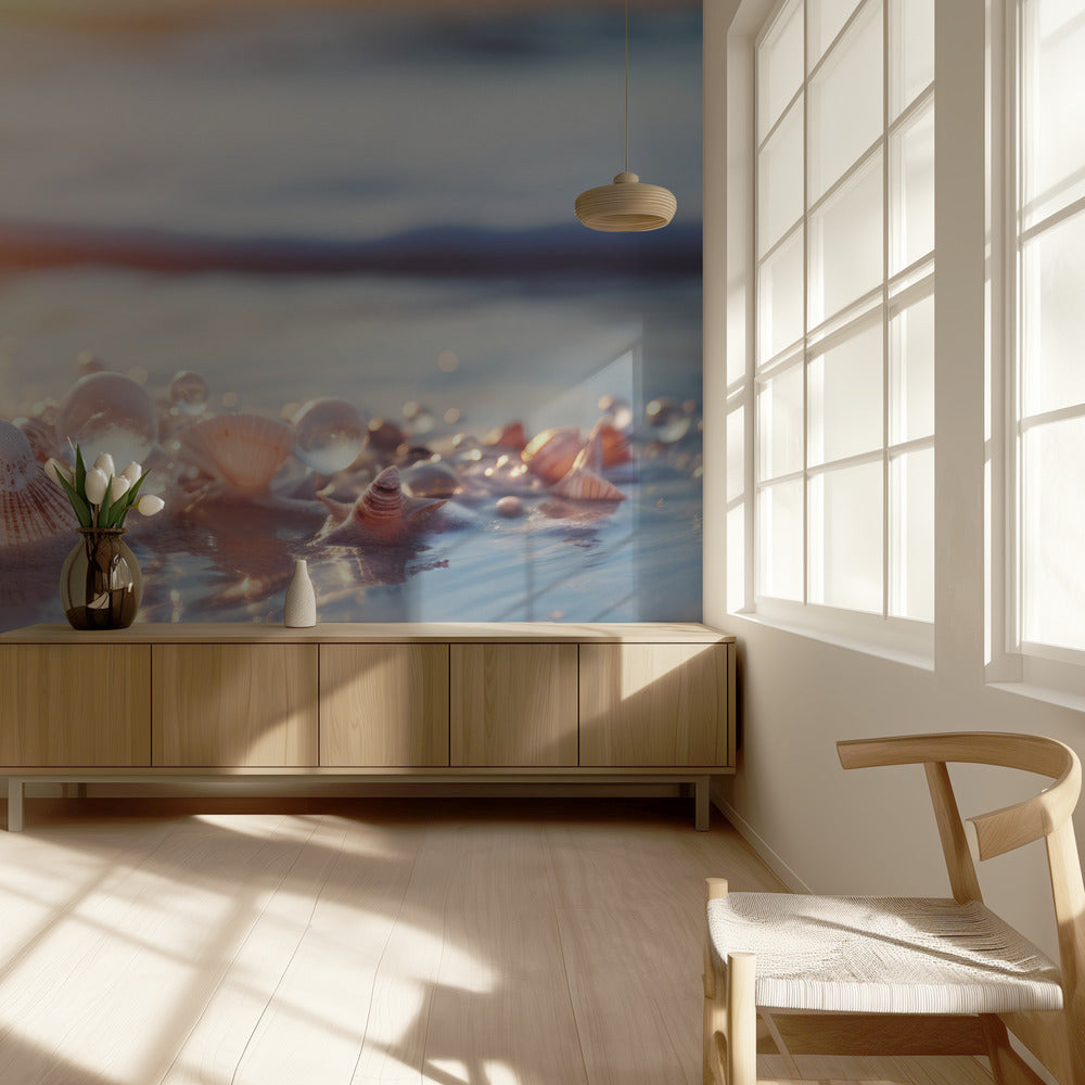 Seashell Serenity | Wallpaper