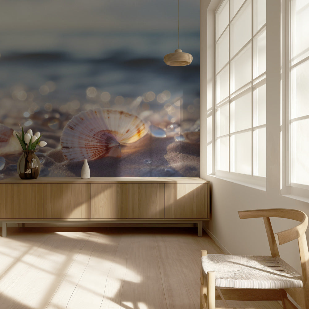 Seashell Serenity | Wallpaper