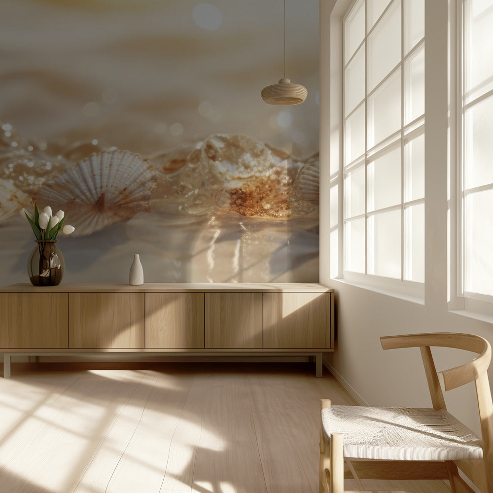 Seashell Serenade | Wallpaper