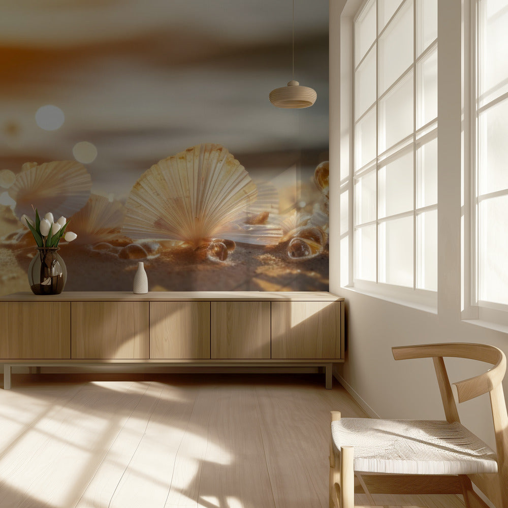 Sunlit Seashells | Wallpaper