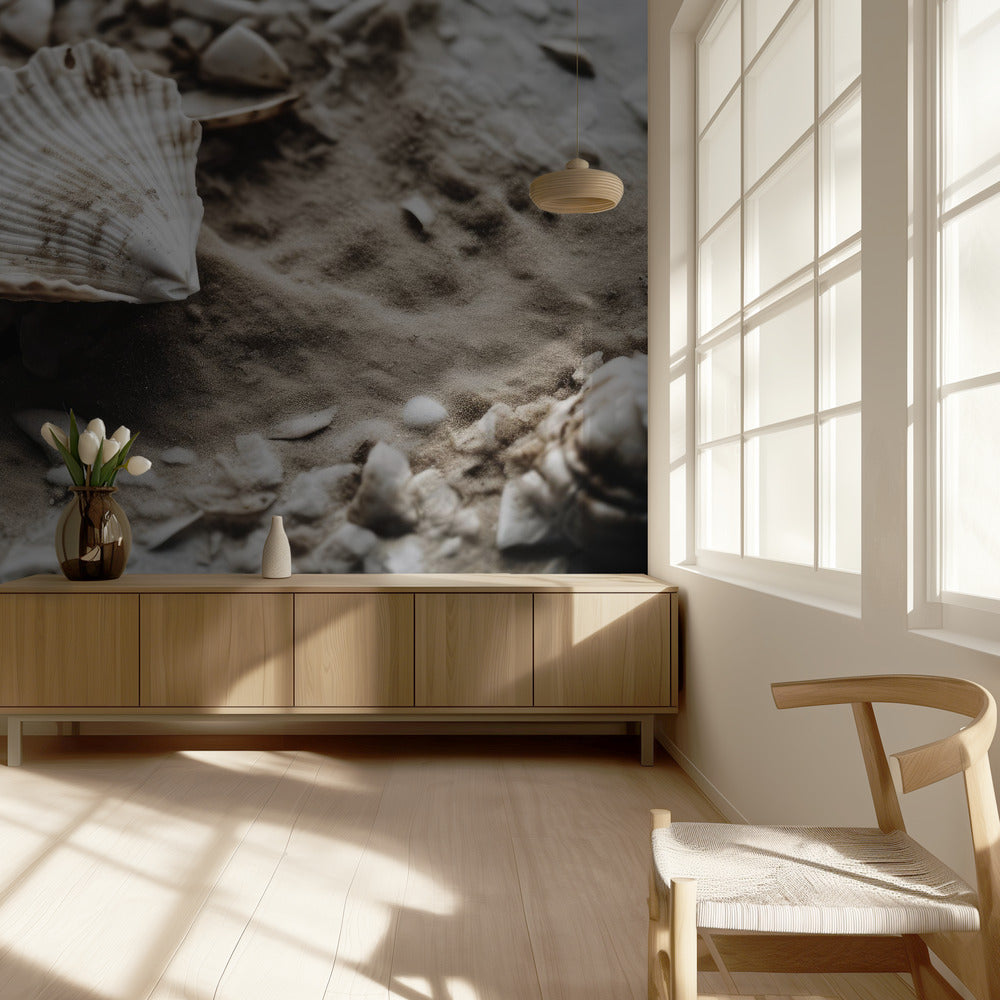 Seashell Serenity | Wallpaper