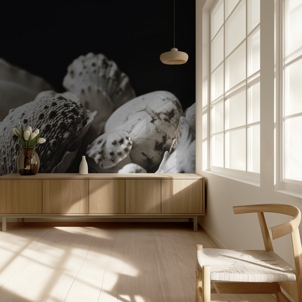 Shell Symphony | Wallpaper