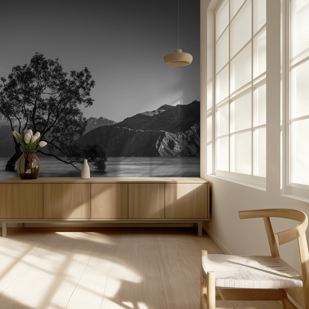 wanaka tree | Wallpaper