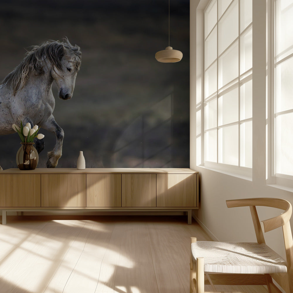 Mustang, Wild Horse / Equus ferus caballus | Wallpaper