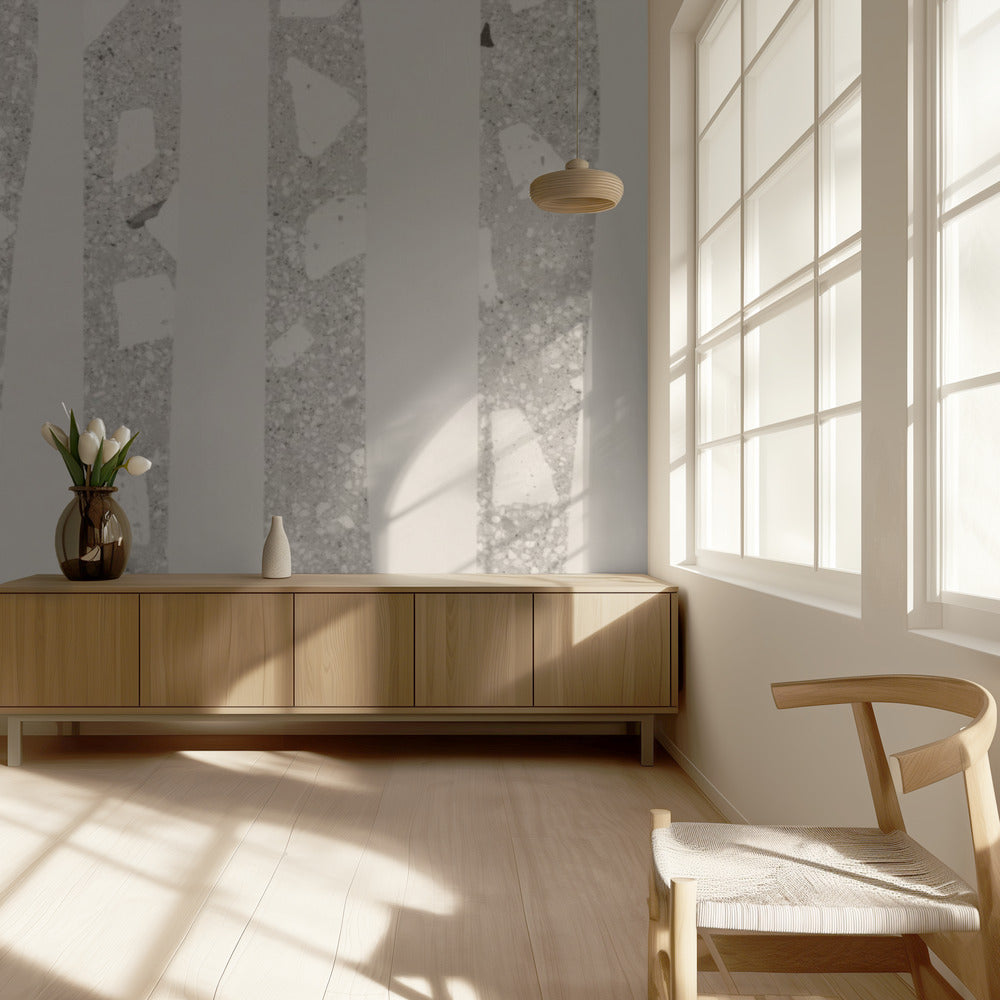 Birch Grove Shadows | Wallpaper