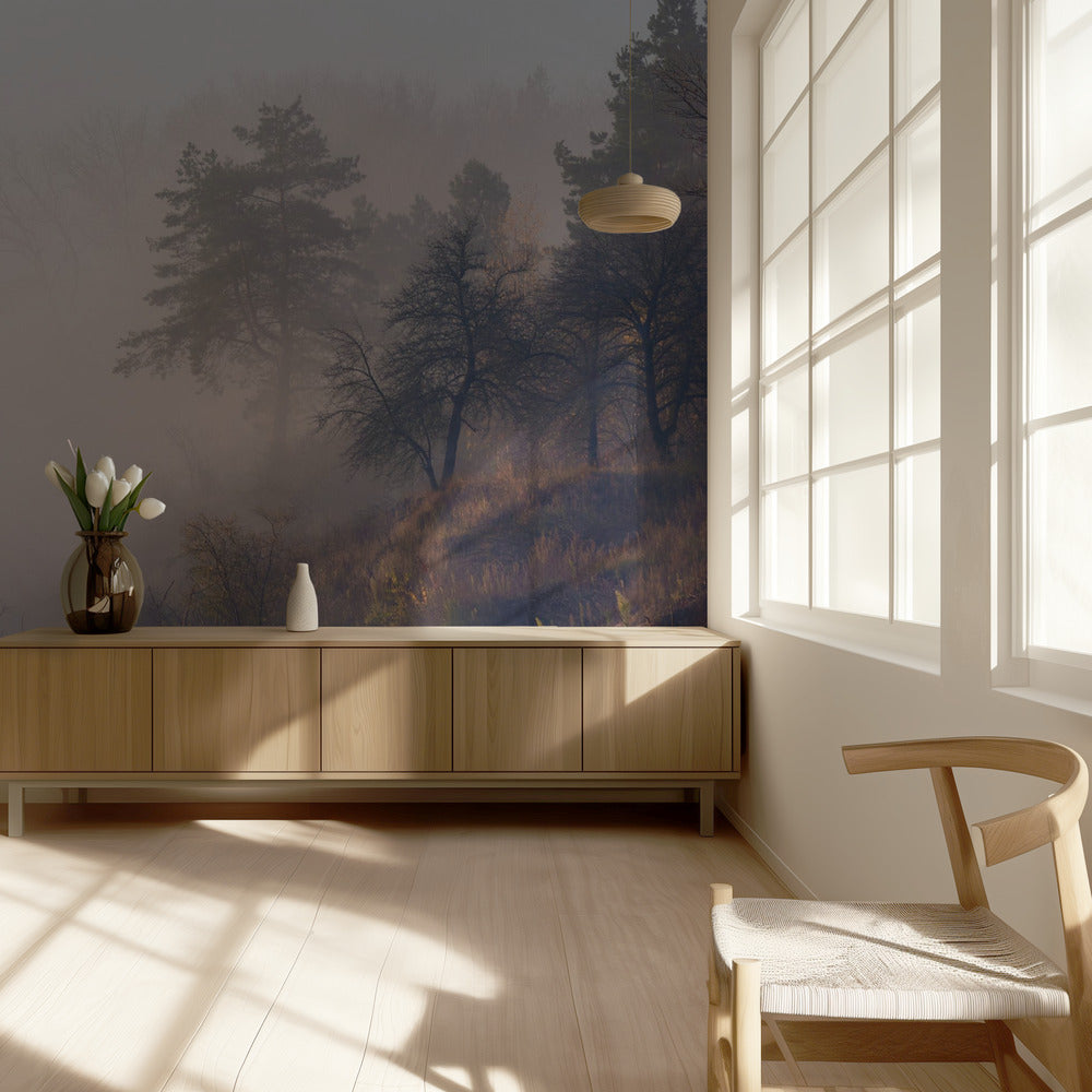 Foggy autumn morning on the river | Wallpaper