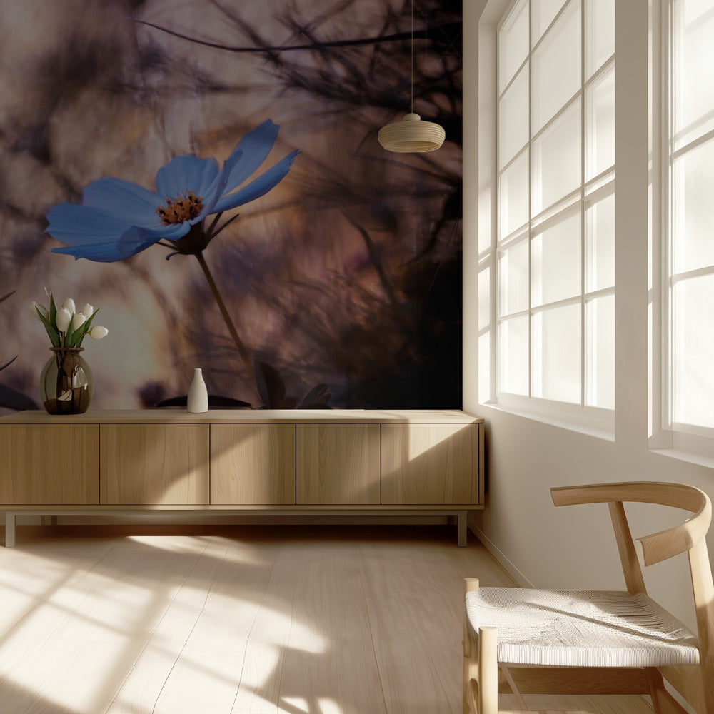 L'indiffÃ©rence | Wallpaper