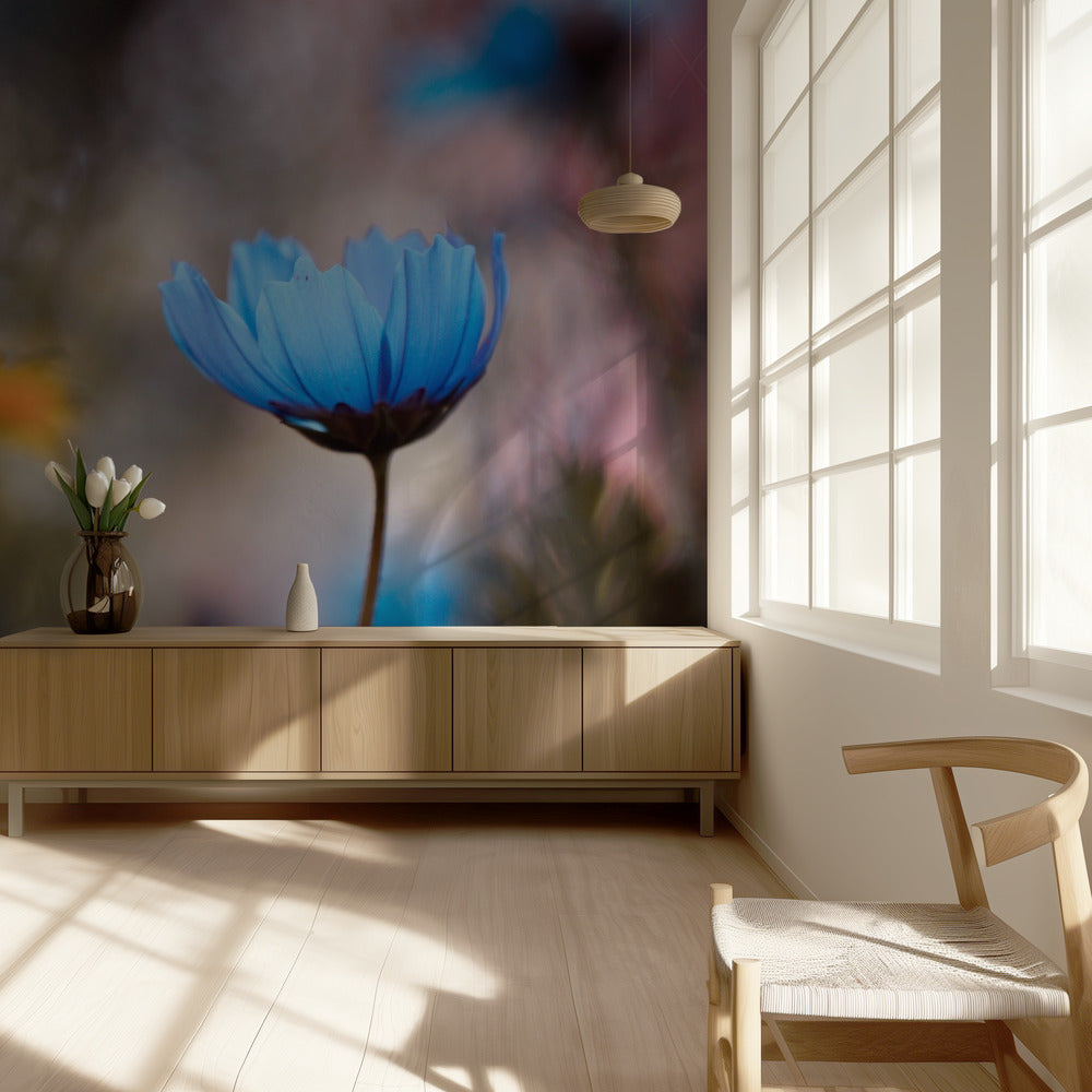 Do you wanna dance with me | Wallpaper