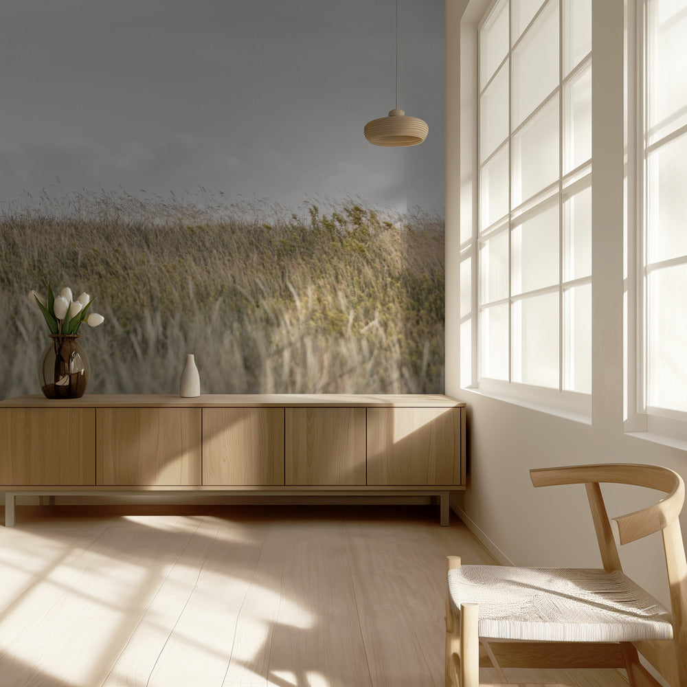 Dunes and Clouds 2 | Wallpaper