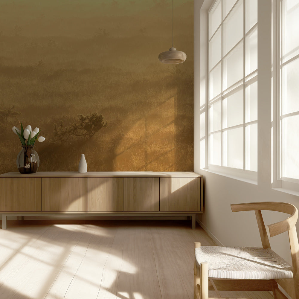 20220809  Dsf8027 1 | Wallpaper