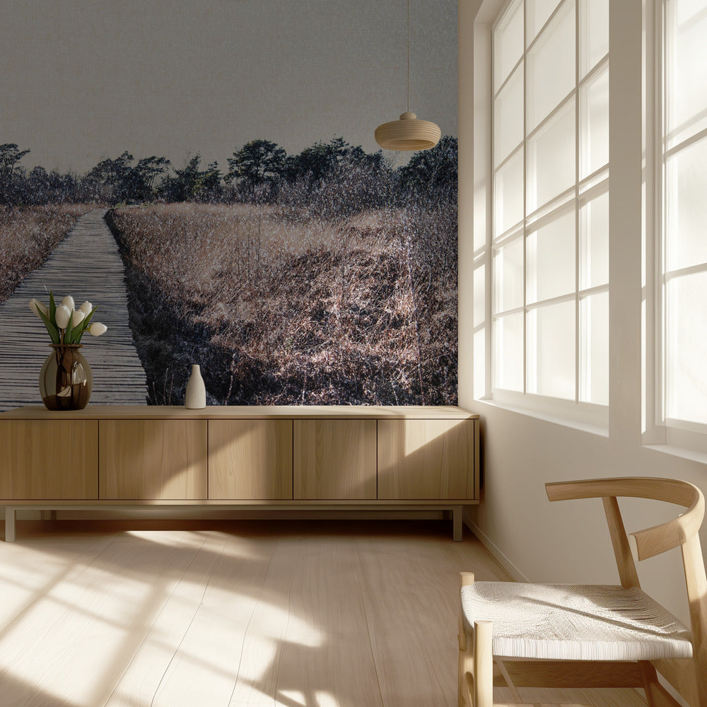 Nature reserve | Wallpaper