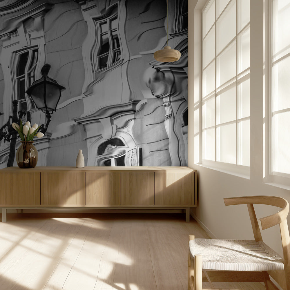 Gull reflection | Wallpaper