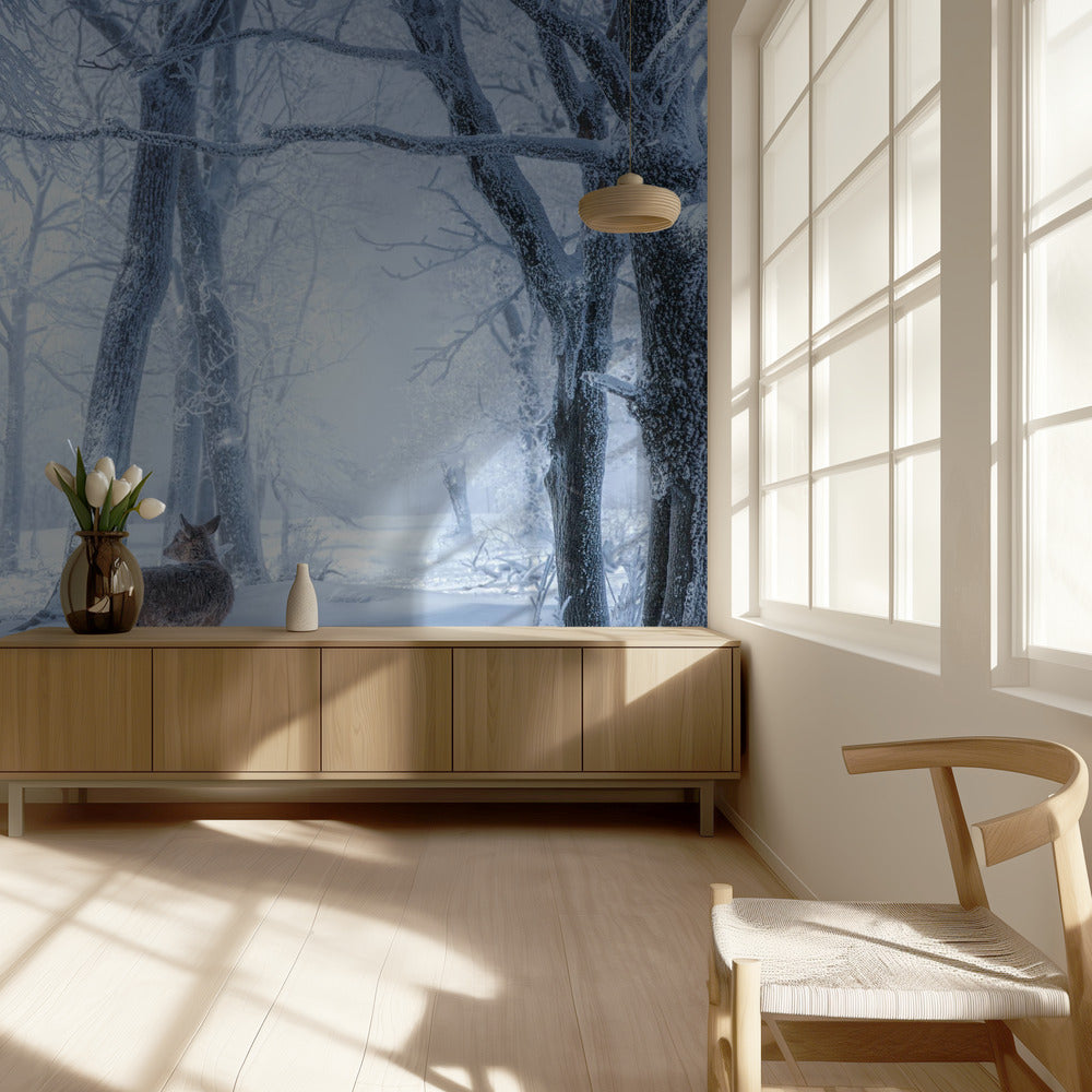 The Sika Deer in the Snowy Forest | Wallpaper