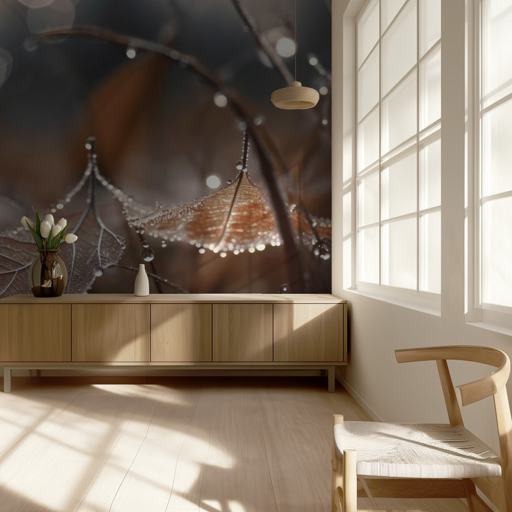 Dew-Kissed Serenity | Wallpaper