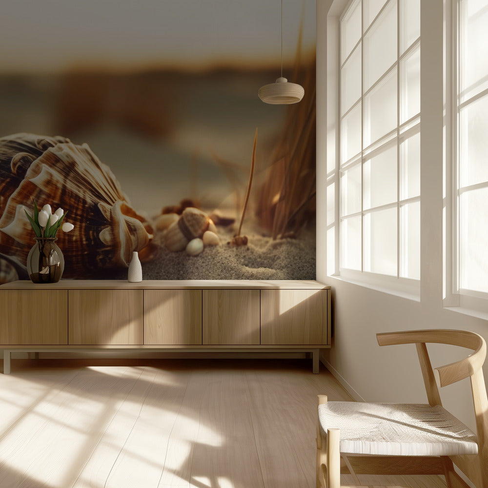 Shells at Sunset | Wallpaper