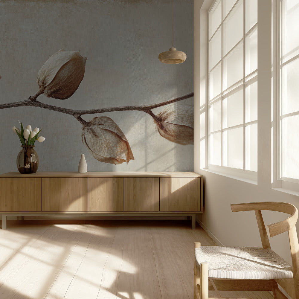 Faded Elegance | Wallpaper