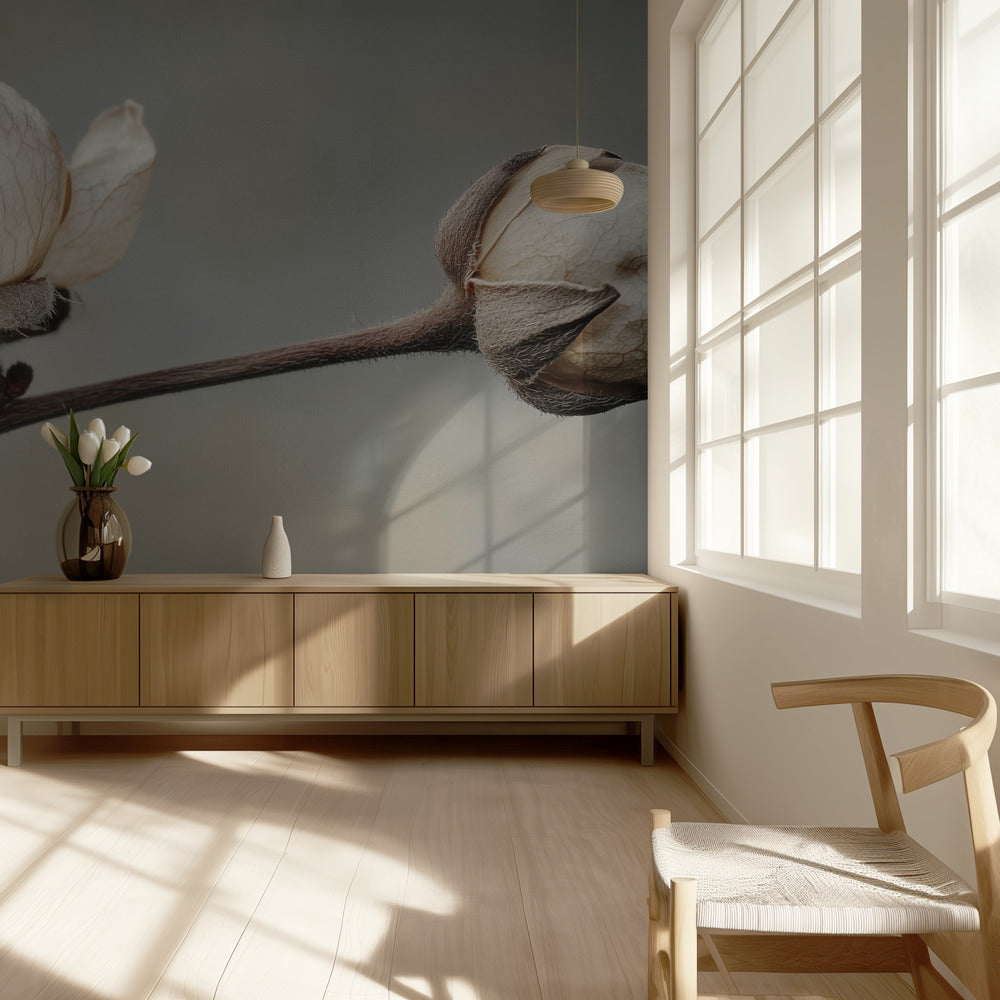 Delicate Petals | Wallpaper