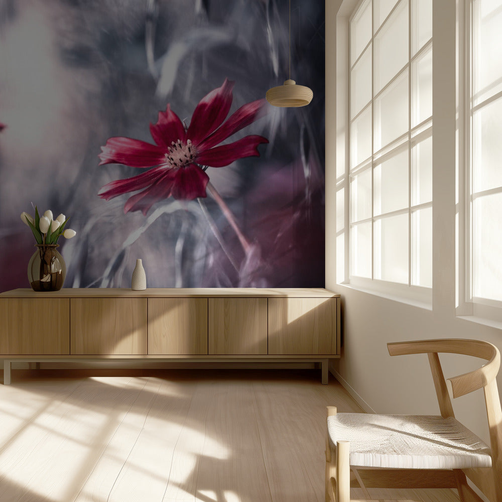 Seduction games | Wallpaper