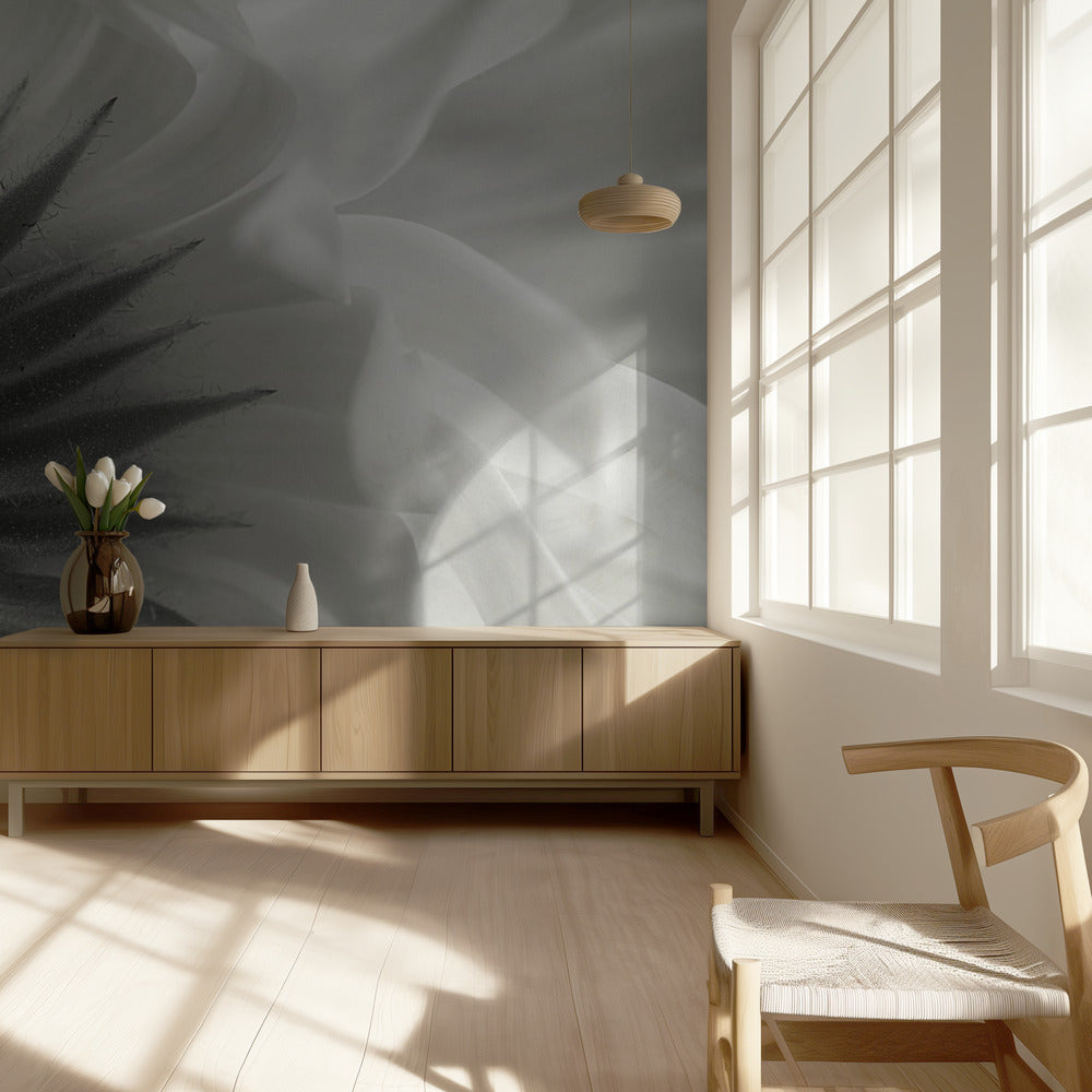 Calendula | Wallpaper