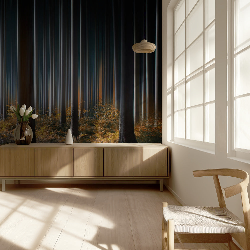 Mystic Wood | Wallpaper