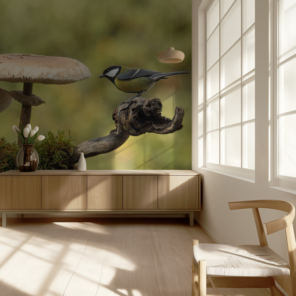 My small part of the world | Wallpaper