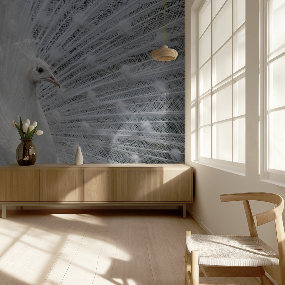 As white as snow | Wallpaper