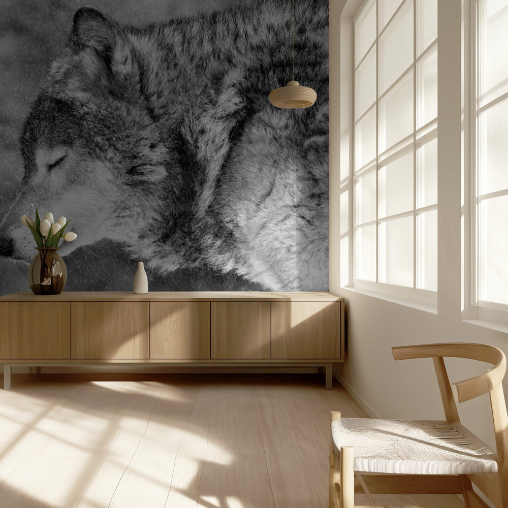 Let it snow | Wallpaper