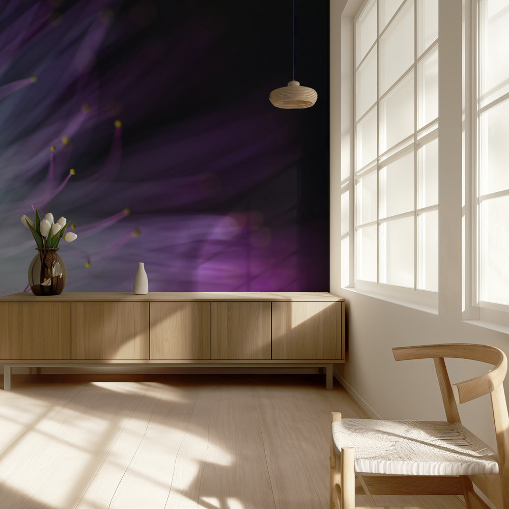 The Will-o-the-Wisp | Wallpaper