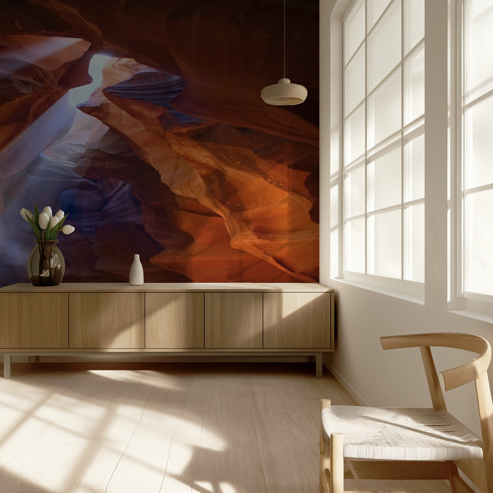 Pure Photodelight  2 | Wallpaper