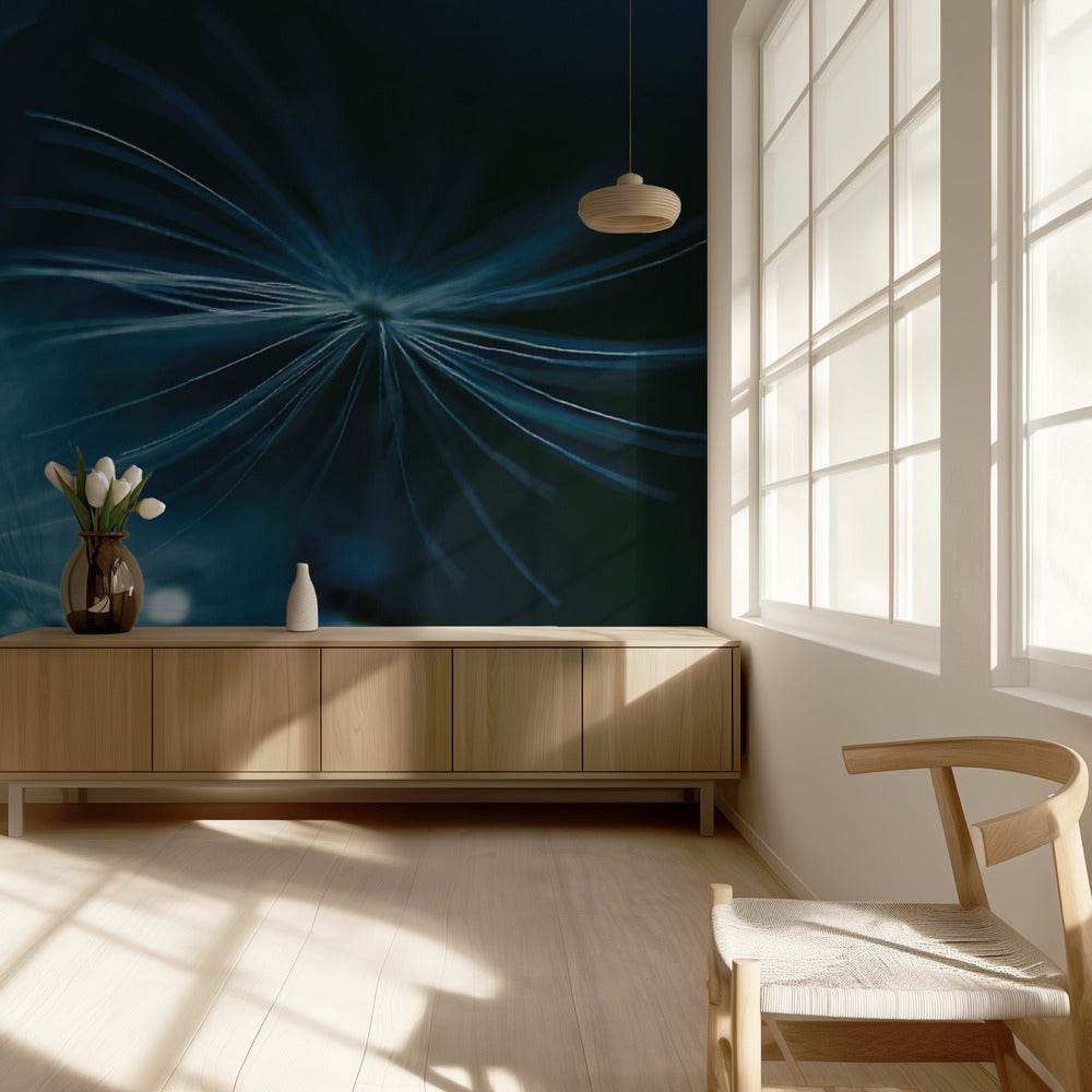 soft touch | Wallpaper