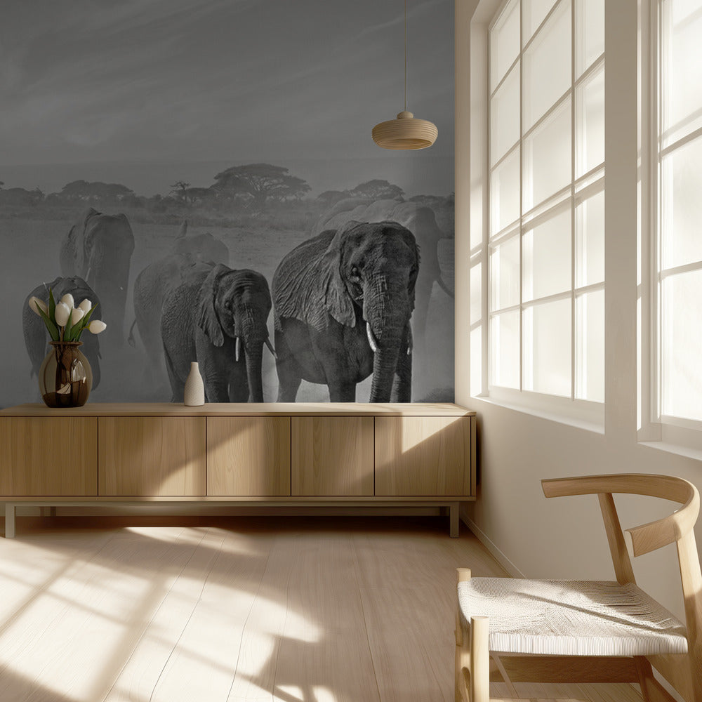 Sequence of emotion | Wallpaper