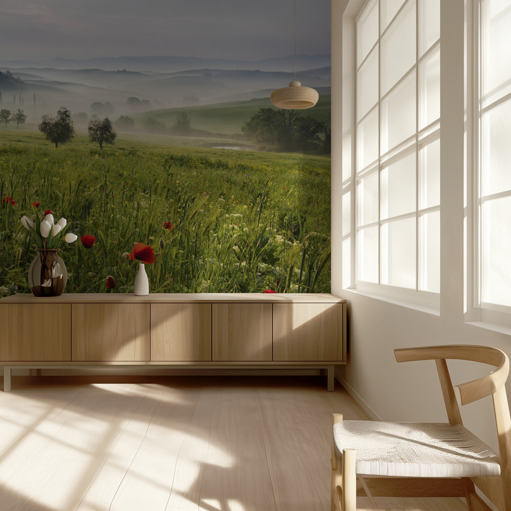 Tuscan spring | Wallpaper