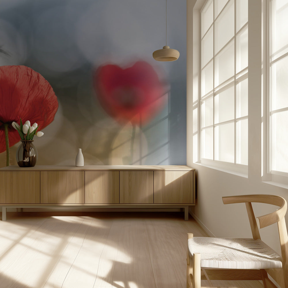 Morning Poppies | Wallpaper