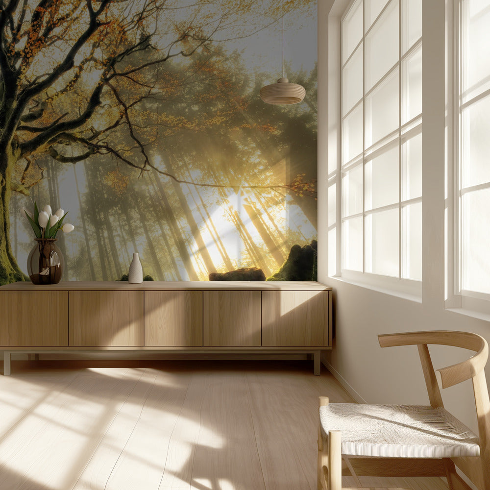 November | Wallpaper