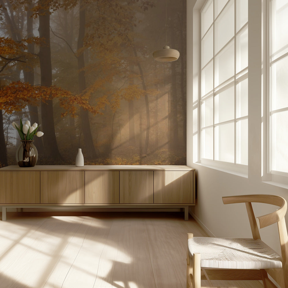 Edge of the woods | Wallpaper