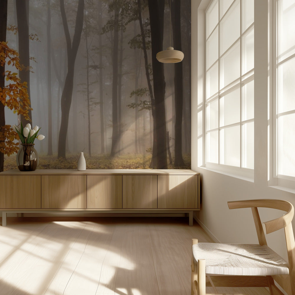 In November Light | Wallpaper