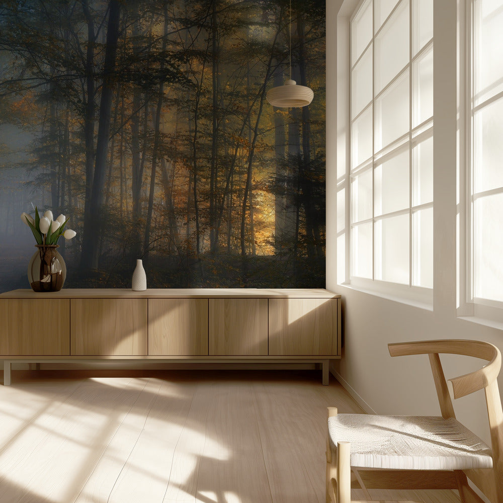 autumn symphony | Wallpaper