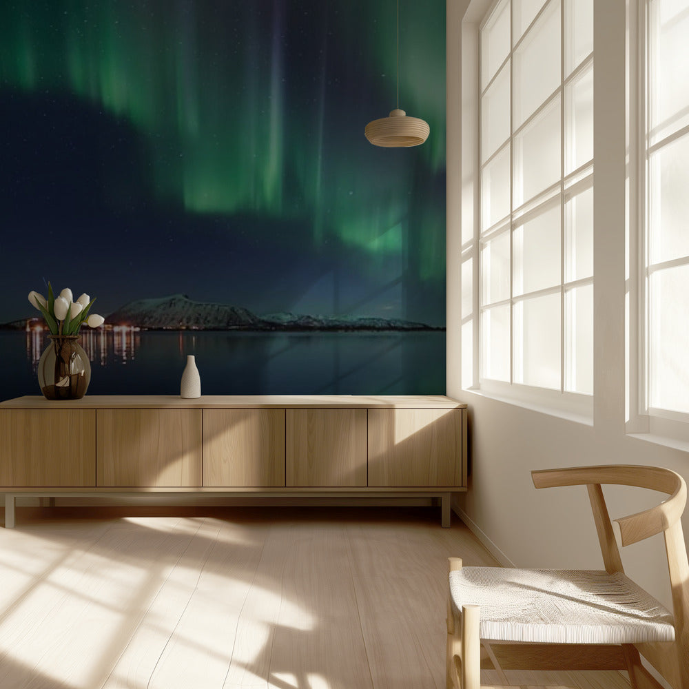 Magical Night | Wallpaper